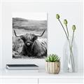 Picture of Furry Brown Cow _GroupedProduct_Rectangle_Portrait_Photography _GroupedProduct_Rectangle_Portrait_Unframed_Print_Only_