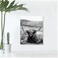 Picture of Furry Brown Cow _GroupedProduct_Rectangle_Portrait_Photography _GroupedProduct_Rectangle_Portrait_Unframed_Print_Only_
