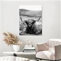 Picture of Furry Brown Cow _GroupedProduct_Rectangle_Portrait_Photography _GroupedProduct_Rectangle_Portrait_Unframed_Print_Only_