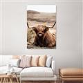 Picture of Furry Brown Cow _GroupedProduct_Rectangle_Portrait_Photography _GroupedProduct_Rectangle_Portrait_Unframed_Print_Only_
