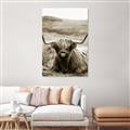 Picture of Furry Brown Cow _GroupedProduct_Rectangle_Portrait_Photography _GroupedProduct_Rectangle_Portrait_Unframed_Print_Only_