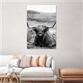 Picture of Furry Brown Cow _GroupedProduct_Rectangle_Portrait_Photography _GroupedProduct_Rectangle_Portrait_Unframed_Print_Only_