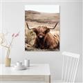 Picture of Furry Brown Cow _GroupedProduct_Rectangle_Portrait_Photography _GroupedProduct_Rectangle_Portrait_Unframed_Print_Only_