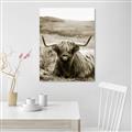 Picture of Furry Brown Cow _GroupedProduct_Rectangle_Portrait_Photography _GroupedProduct_Rectangle_Portrait_Unframed_Print_Only_