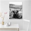 Picture of Furry Brown Cow _GroupedProduct_Rectangle_Portrait_Photography _GroupedProduct_Rectangle_Portrait_Unframed_Print_Only_