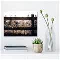 Picture of Farm Fence _GroupedProduct_Rectangle_Landscape_Photography _GroupedProduct_Rectangle_Landscape_Unframed_Print_Only_