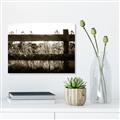 Picture of Farm Fence _GroupedProduct_Rectangle_Landscape_Photography _GroupedProduct_Rectangle_Landscape_Unframed_Print_Only_
