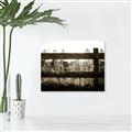Picture of Farm Fence _GroupedProduct_Rectangle_Landscape_Photography _GroupedProduct_Rectangle_Landscape_Unframed_Print_Only_