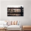 Picture of Farm Fence _GroupedProduct_Rectangle_Landscape_Photography _GroupedProduct_Rectangle_Landscape_Unframed_Print_Only_