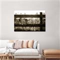 Picture of Farm Fence _GroupedProduct_Rectangle_Landscape_Photography _GroupedProduct_Rectangle_Landscape_Unframed_Print_Only_