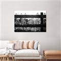 Picture of Farm Fence _GroupedProduct_Rectangle_Landscape_Photography _GroupedProduct_Rectangle_Landscape_Unframed_Print_Only_