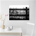 Picture of Farm Fence _GroupedProduct_Rectangle_Landscape_Photography _GroupedProduct_Rectangle_Landscape_Unframed_Print_Only_