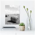 Picture of Hay Bail _GroupedProduct_Rectangle_Portrait_Photography _GroupedProduct_Rectangle_Portrait_Unframed_Print_Only_
