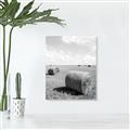 Picture of Hay Bail _GroupedProduct_Rectangle_Portrait_Photography _GroupedProduct_Rectangle_Portrait_Unframed_Print_Only_
