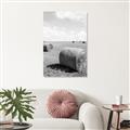 Picture of Hay Bail _GroupedProduct_Rectangle_Portrait_Photography _GroupedProduct_Rectangle_Portrait_Unframed_Print_Only_