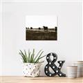 Picture of Cow Field  _GroupedProduct_Rectangle_Landscape_Photography _GroupedProduct_Rectangle_Landscape_Unframed_Print_Only_