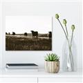 Picture of Cow Field  _GroupedProduct_Rectangle_Landscape_Photography _GroupedProduct_Rectangle_Landscape_Unframed_Print_Only_