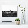 Picture of Cow Field  _GroupedProduct_Rectangle_Landscape_Photography _GroupedProduct_Rectangle_Landscape_Unframed_Print_Only_