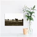 Picture of Cow Field  _GroupedProduct_Rectangle_Landscape_Photography _GroupedProduct_Rectangle_Landscape_Unframed_Print_Only_