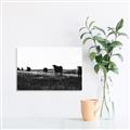 Picture of Cow Field  _GroupedProduct_Rectangle_Landscape_Photography _GroupedProduct_Rectangle_Landscape_Unframed_Print_Only_