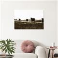 Picture of Cow Field  _GroupedProduct_Rectangle_Landscape_Photography _GroupedProduct_Rectangle_Landscape_Unframed_Print_Only_
