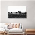 Picture of Cow Field  _GroupedProduct_Rectangle_Landscape_Photography _GroupedProduct_Rectangle_Landscape_Unframed_Print_Only_