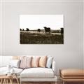 Picture of Cow Field  _GroupedProduct_Rectangle_Landscape_Photography _GroupedProduct_Rectangle_Landscape_Unframed_Print_Only_