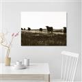 Picture of Cow Field  _GroupedProduct_Rectangle_Landscape_Photography _GroupedProduct_Rectangle_Landscape_Unframed_Print_Only_