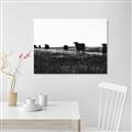 Picture of Cow Field  _GroupedProduct_Rectangle_Landscape_Photography _GroupedProduct_Rectangle_Landscape_Unframed_Print_Only_