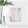 Picture of Whispy Pampas _GroupedProduct_Rectangle_Portrait_Photography _GroupedProduct_Rectangle_Portrait_Unframed_Print_Only_