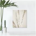 Picture of Whispy Pampas _GroupedProduct_Rectangle_Portrait_Photography _GroupedProduct_Rectangle_Portrait_Unframed_Print_Only_