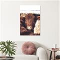 Picture of Snuggled Highland _GroupedProduct_Rectangle_Portrait_Photography _GroupedProduct_Rectangle_Portrait_Unframed_Print_Only_