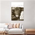 Picture of Snuggled Highland _GroupedProduct_Rectangle_Portrait_Photography _GroupedProduct_Rectangle_Portrait_Unframed_Print_Only_