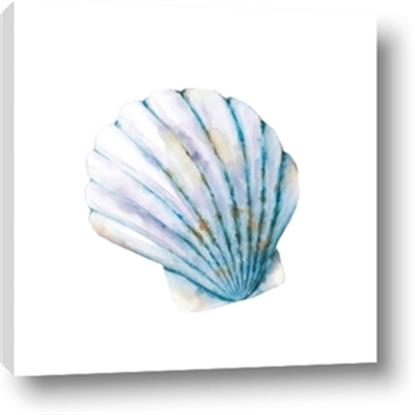 Picture of Watercolor shell III