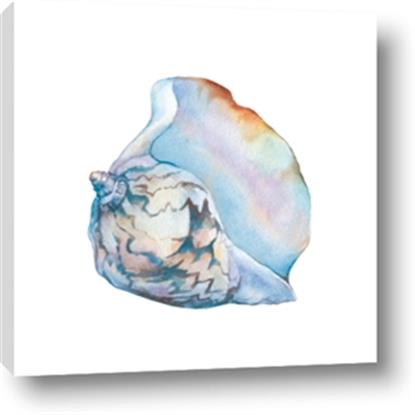 Picture of Watercolor shell I