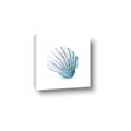 Picture of Watercolor shell III  _GroupedProduct_Square_Canvas_