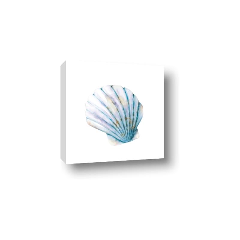 Picture of Watercolor shell III  _GroupedProduct_Square_Canvas_