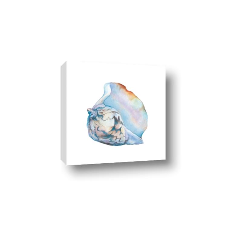 Picture of Watercolor shell I _GroupedProduct_Square_Canvas_