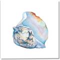 Picture of Watercolor shell I _GroupedProduct_Square_Canvas_