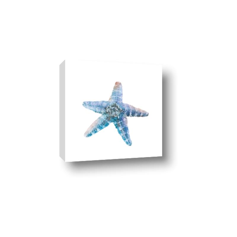 Picture of Watercolor shell II _GroupedProduct_Square_Canvas_