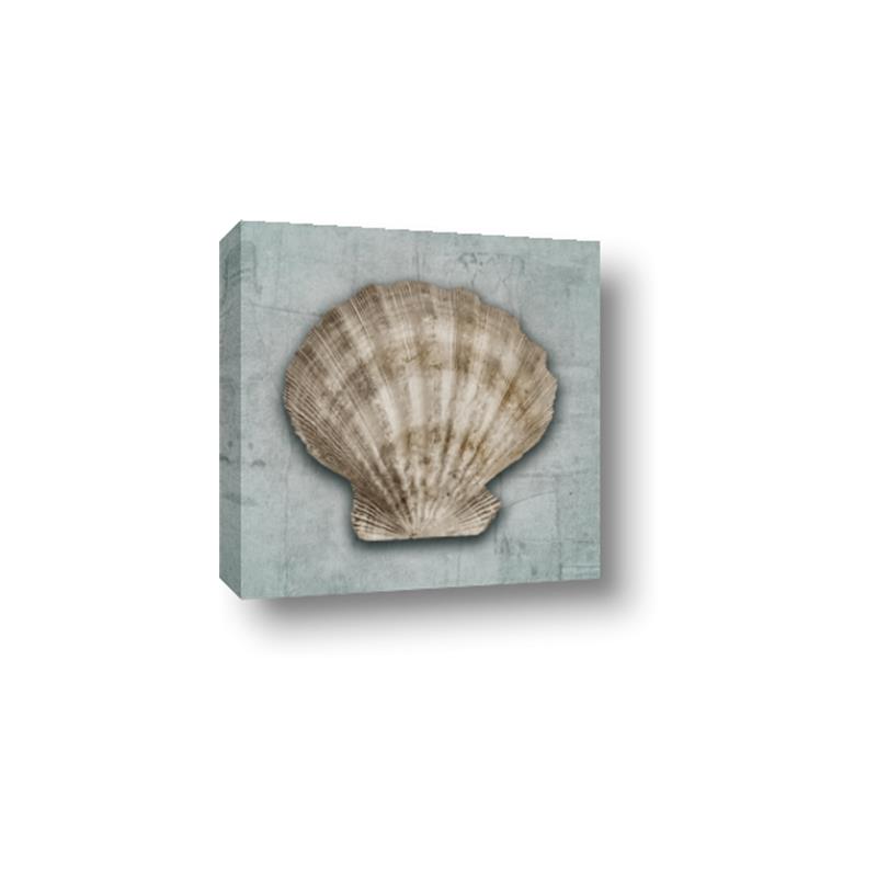 Picture of Vintage Shell I  _GroupedProduct_Square_Canvas_