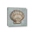 Picture of Vintage Shell I  _GroupedProduct_Square_Canvas_