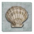 Picture of Vintage Shell I  _GroupedProduct_Square_Canvas_