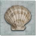 Picture of Vintage Shell I  _GroupedProduct_Square_Canvas_