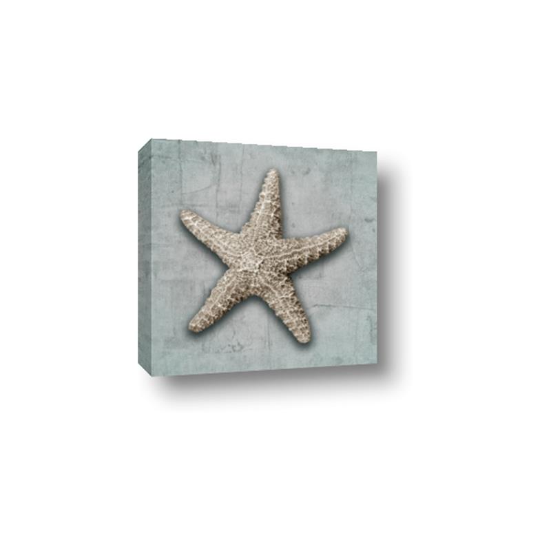 Picture of Vintage Shell II  _GroupedProduct_Square_Canvas_
