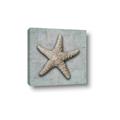 Picture of Vintage Shell II  _GroupedProduct_Square_Canvas_