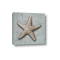 Picture of Vintage Shell II  _GroupedProduct_Square_Canvas_