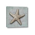 Picture of Vintage Shell II  _GroupedProduct_Square_Canvas_