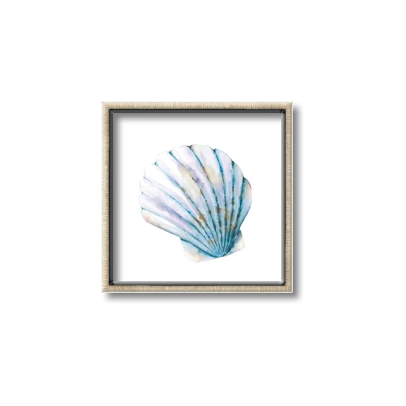 Picture of Watercolor shell III  _GroupedProduct_Square_Canvas_Framed_