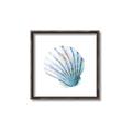 Picture of Watercolor shell III  _GroupedProduct_Square_Canvas_Framed_